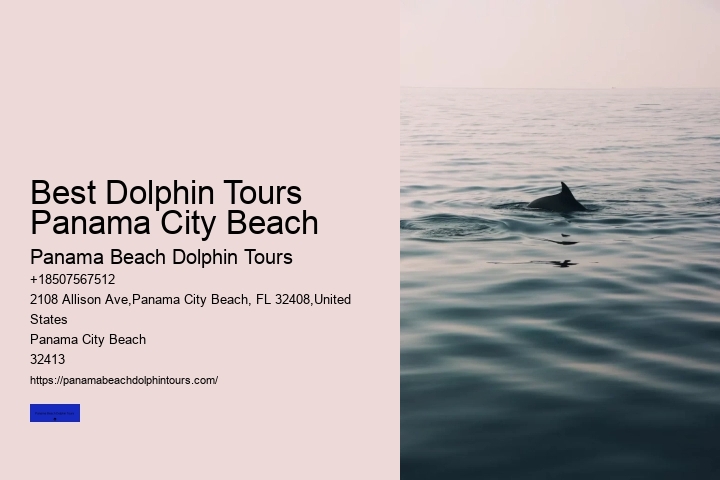 Best Dolphin Tours Panama City Beach