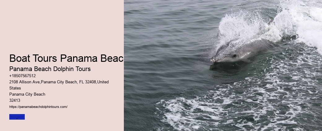 Panama Beach Wildlife Adventures