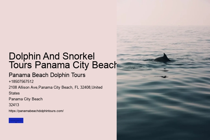Dolphin And Snorkel Tours Panama City Beach