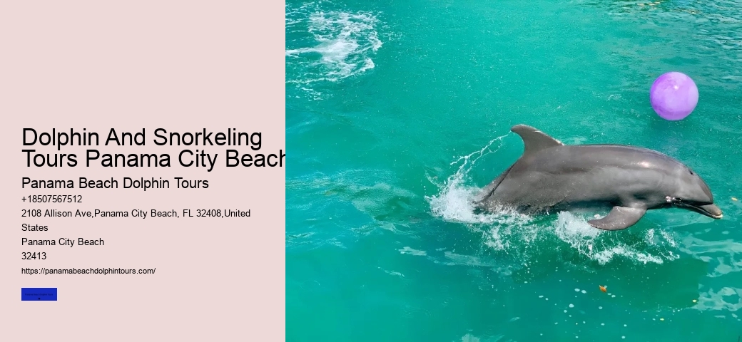 Panama Beach Marine Safaris