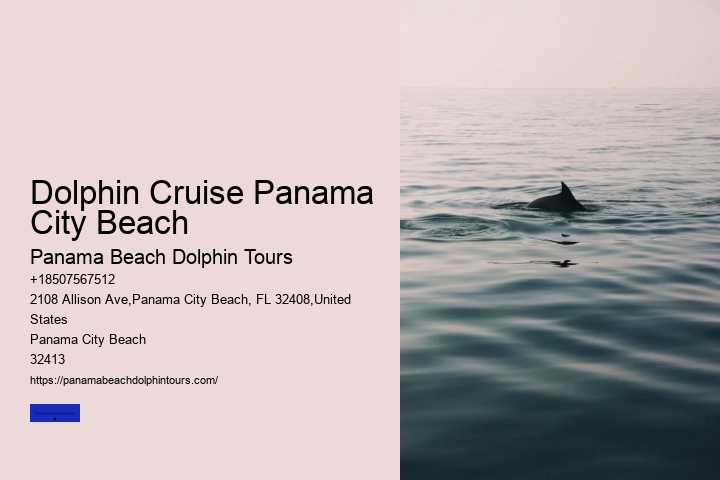 Dolphin Cruise Panama City Beach