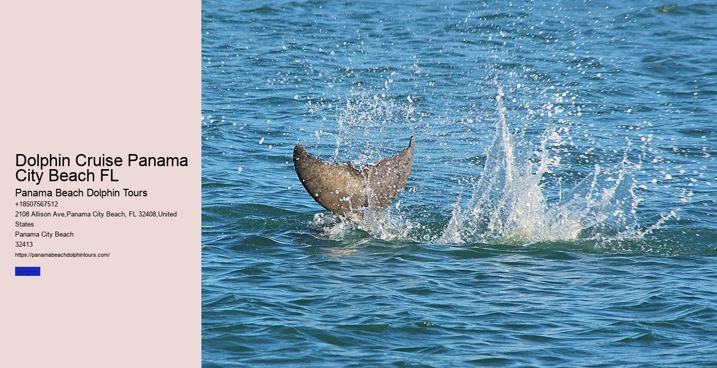 Report A Stranded Or Injured Marine Animal