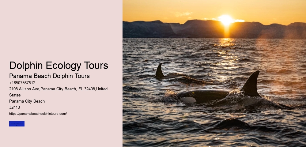 Boat Tours