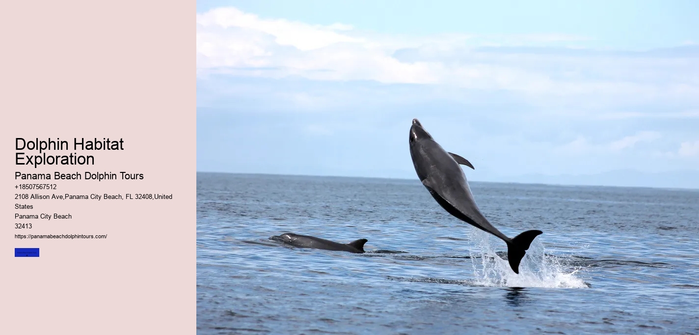 Dolphin Habitat Exploration