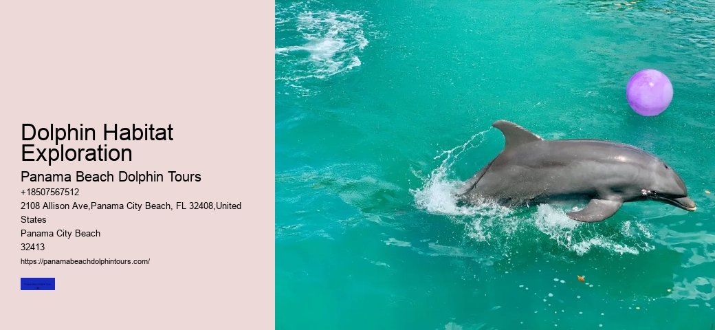 Panama Beach Wildlife Tours