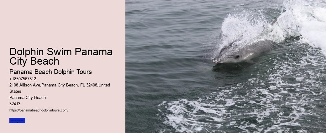 Panama Beach Eco-cruises