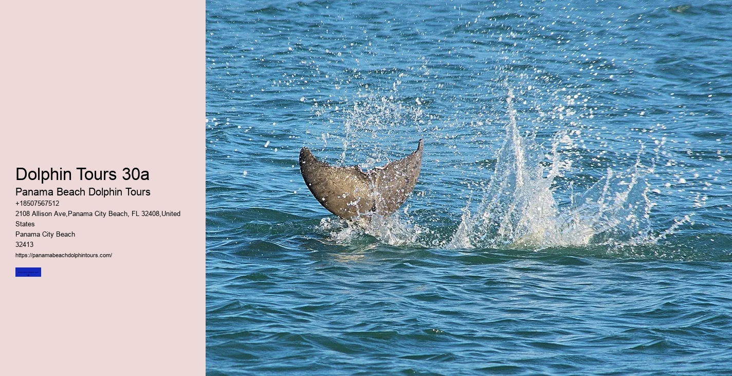 Panama Beach Snorkeling Tours