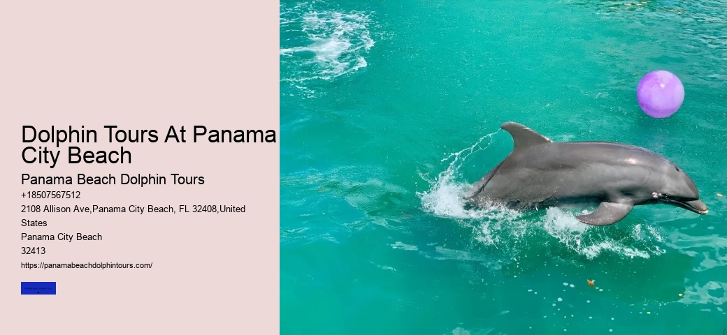 Dolphins