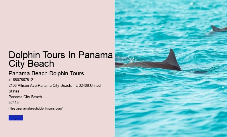 Panama City Beach Dolphin