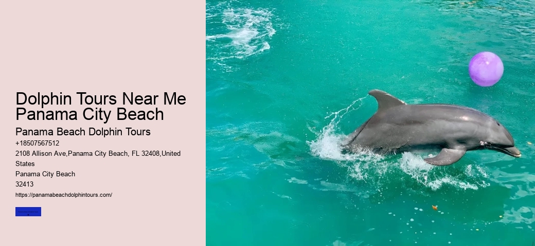 Dolphin Tours Near Panama City Beach