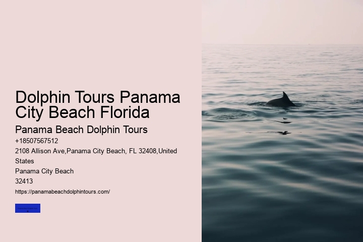 Dolphin Tours Panama City Beach Florida