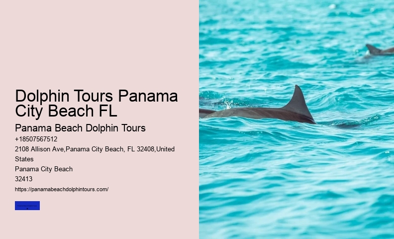 Is It Safe To Be In The Water With Dolphins