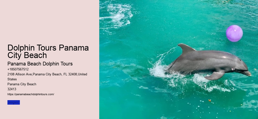 Private Dolphin Tours Panama City Beach