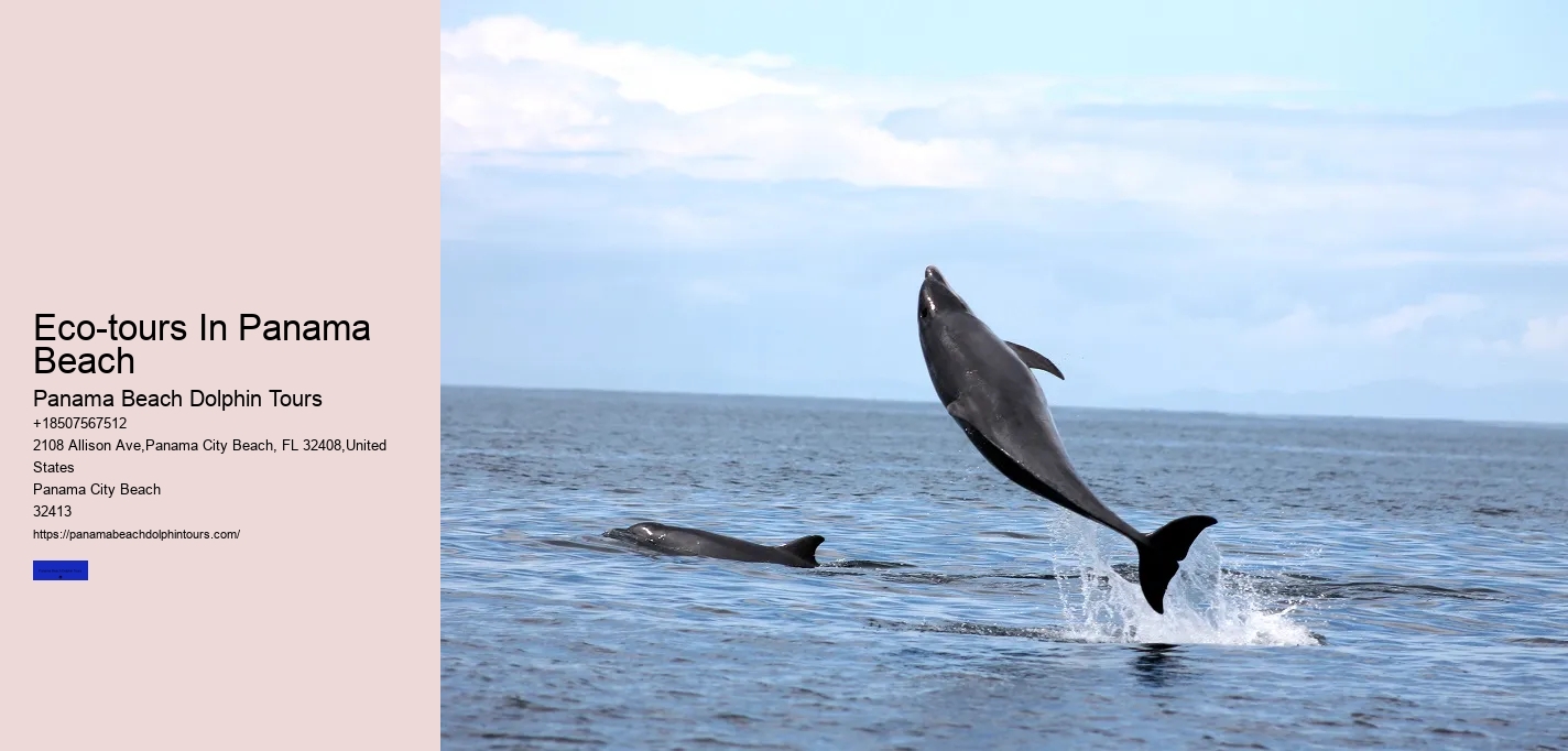 Eco-tours In Panama Beach
