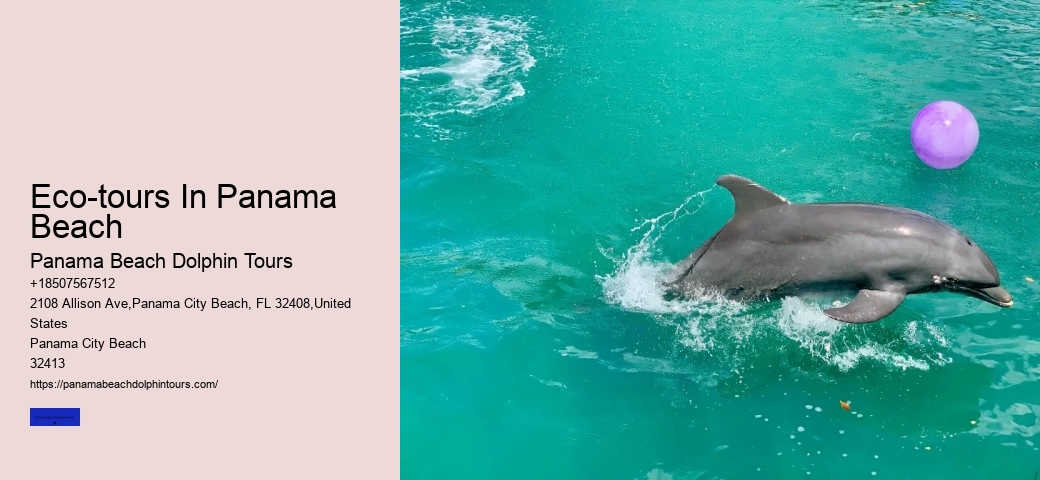 Dolphin Cruise Panama City Beach Fl