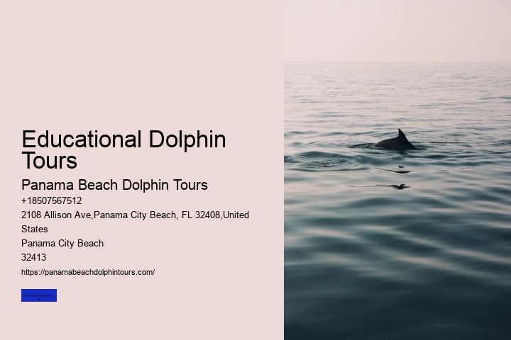 Educational Dolphin Tours