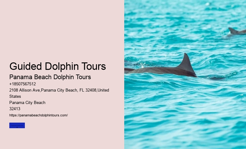 Panama Beach Wildlife Cruises