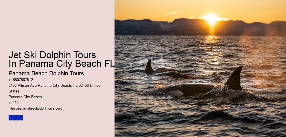 Jet Ski Dolphin Tours In Panama City Beach FL