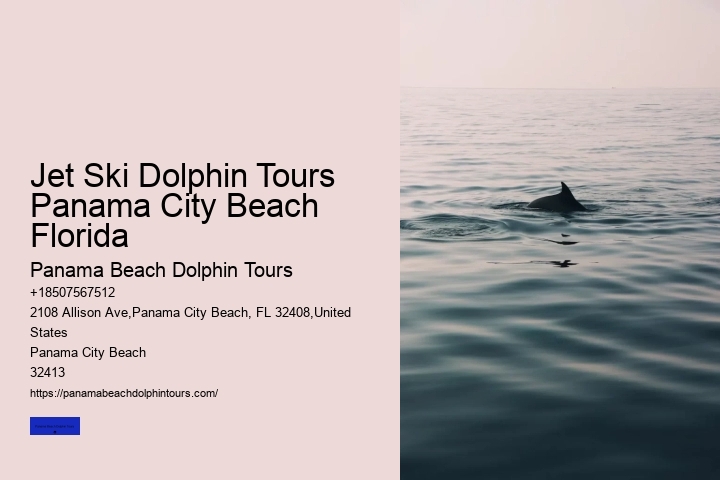 Jet Ski Dolphin Tours Panama City Beach Florida