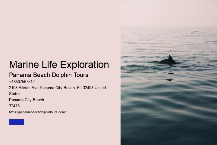Marine Life Exploration