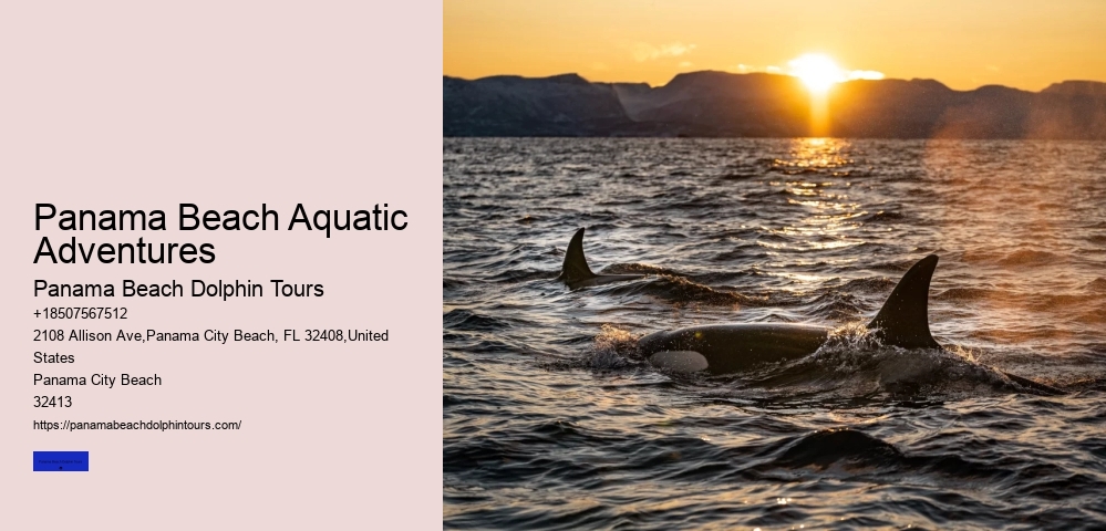 Panama Beach Aquatic Adventures