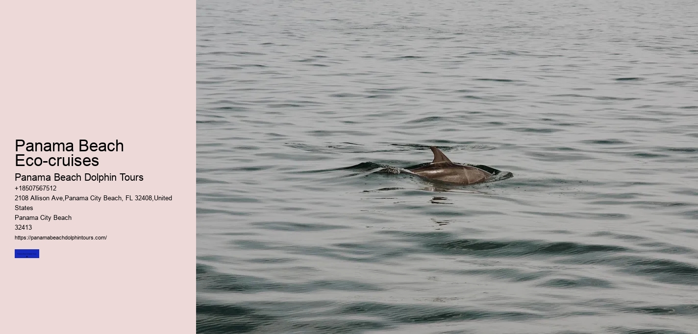 Panama Beach Eco-cruises