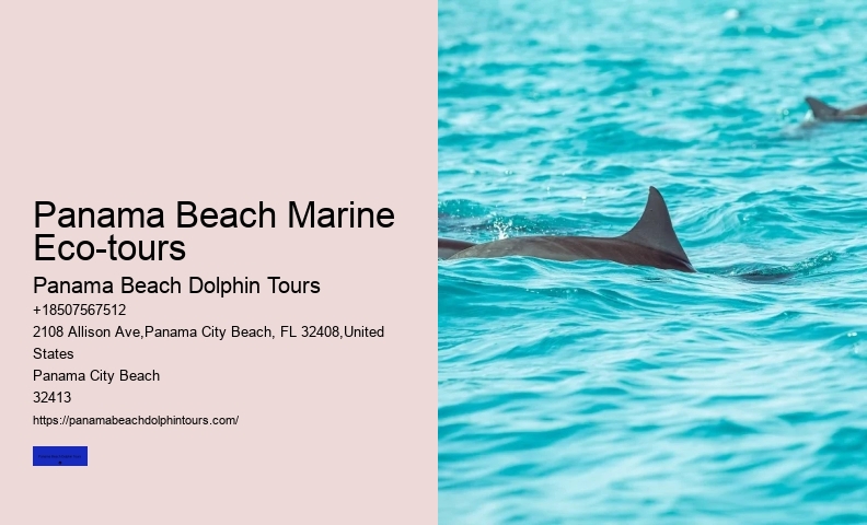 Panama Beach Eco-adventures