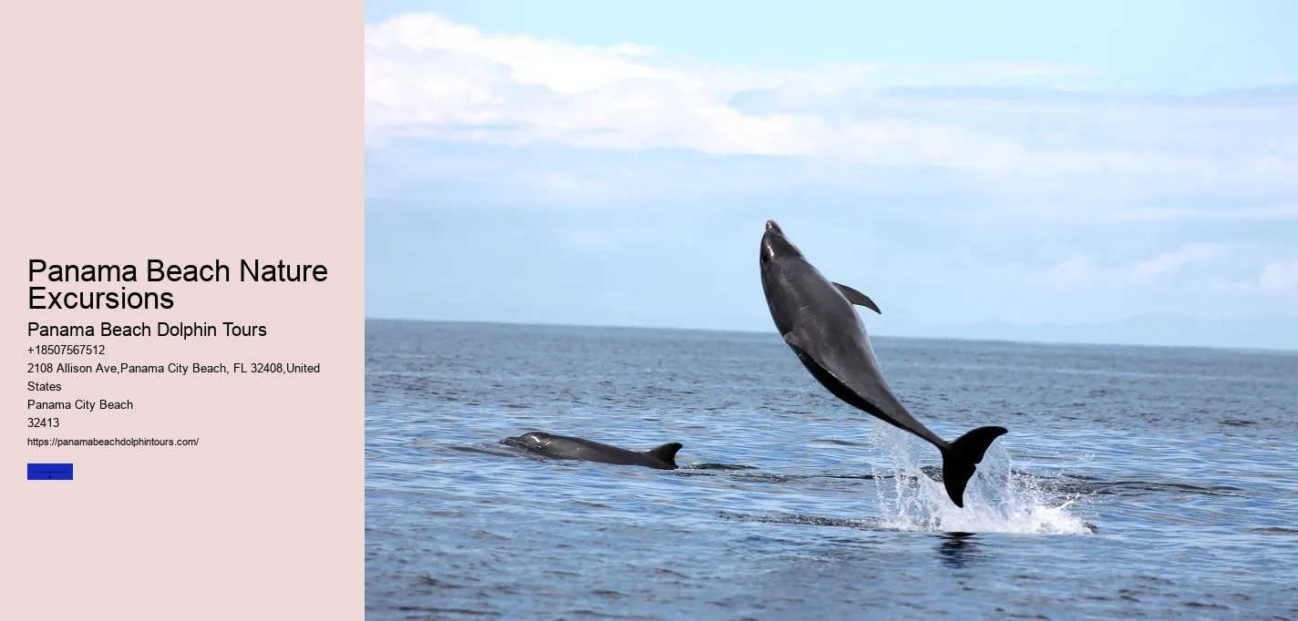 Panama Beach Nature Excursions
