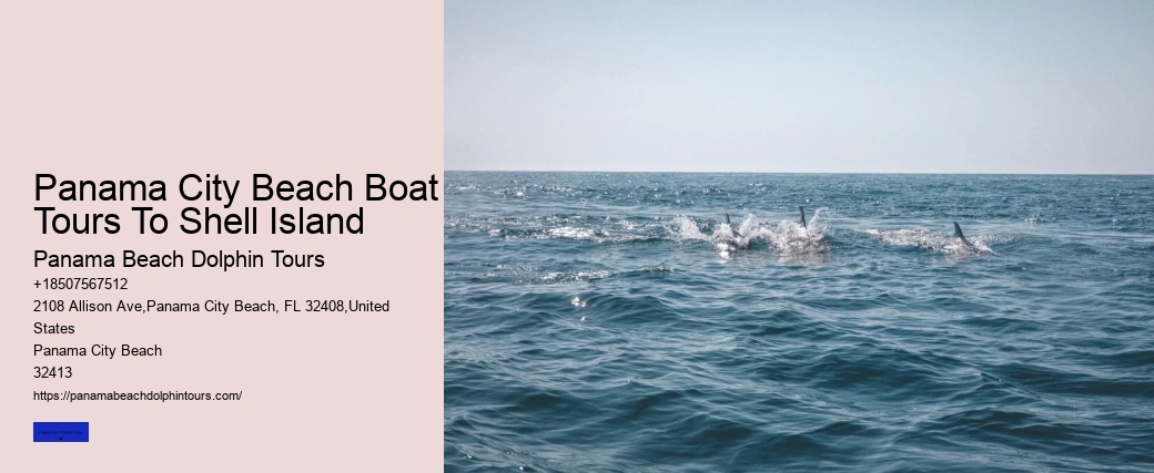Panama City Beach Boat Tours To Shell Island