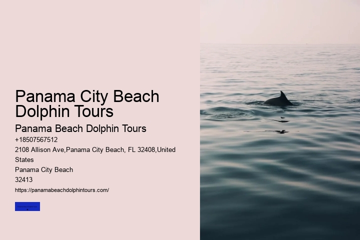 Panama City Beach Dolphin Tours