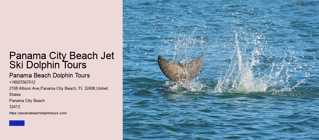 Panama City Beach Jet Ski Dolphin Tours