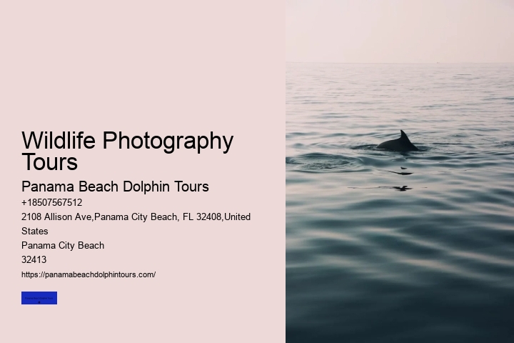 Wildlife Photography Tours