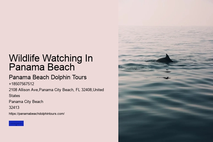 Wildlife Watching In Panama Beach